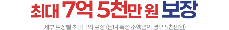 최대 7억 5천만원 보장