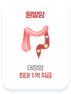 원발암 최대 1억 지급