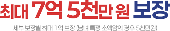 최대 7억 5천만원 보장