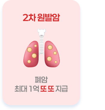 2차 원발암 최대 1억 또또 지급