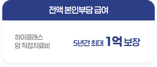 암 직접치료비 5년간 최대 1억 보장